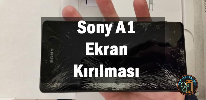 Sony A1 Ekran Kırılması
